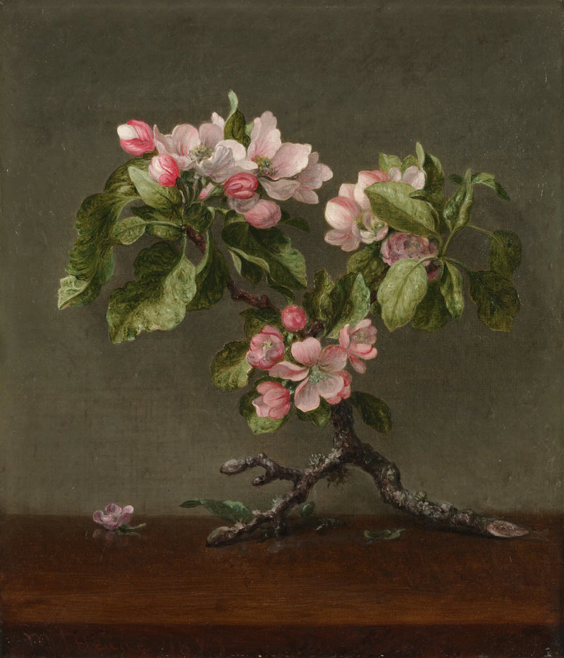Apple Blossom Flowers - Martin Johnson Heade