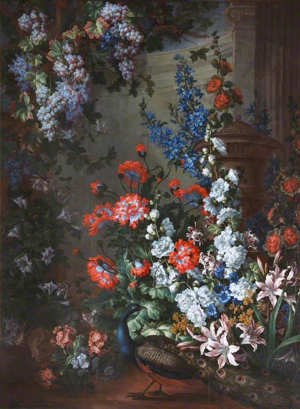 Fleurs et paon – Jean-Baptiste Monnoyer, peinture de coquelicots
