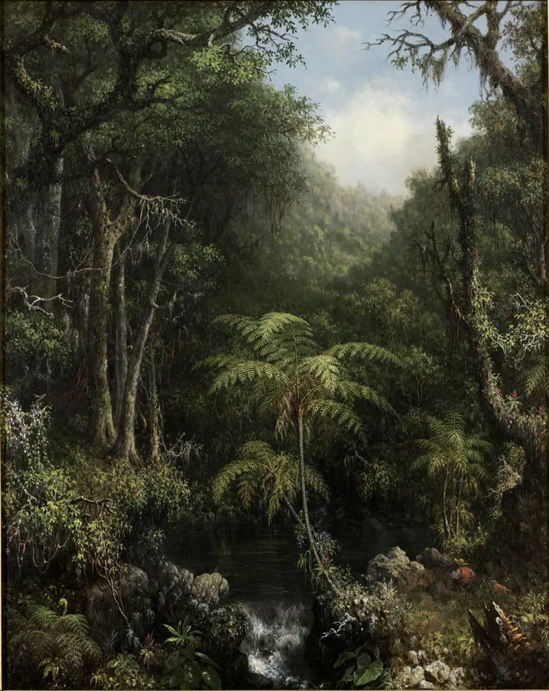 Brazilian Forest - Martin Johnson Heade