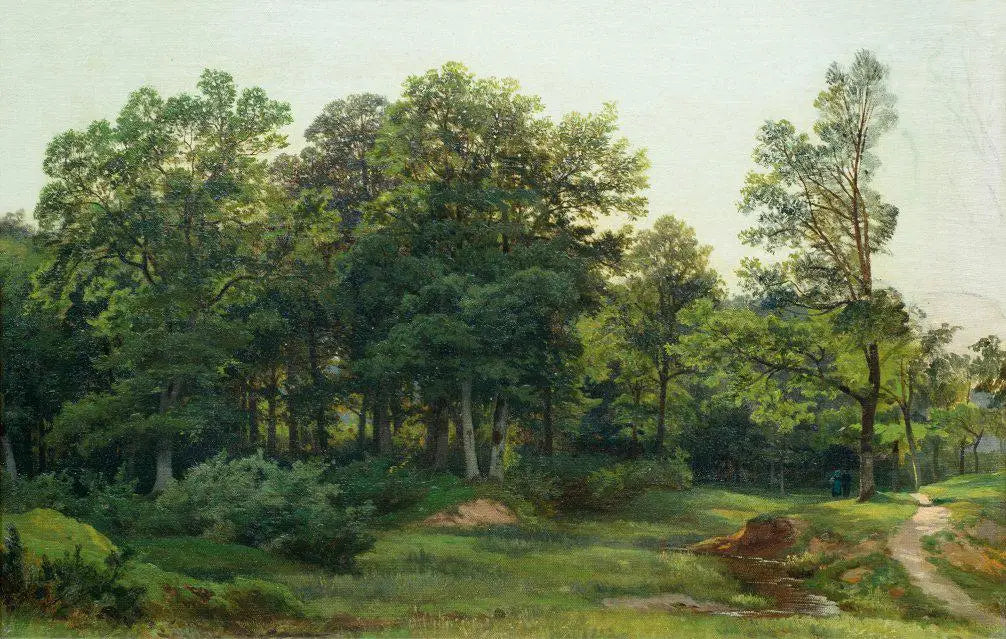 Forêt de feuillus - Ivan Chichkine - Alpha Reproduction