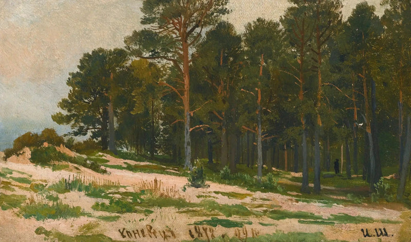 Pine Forest - Ivan Chichkine