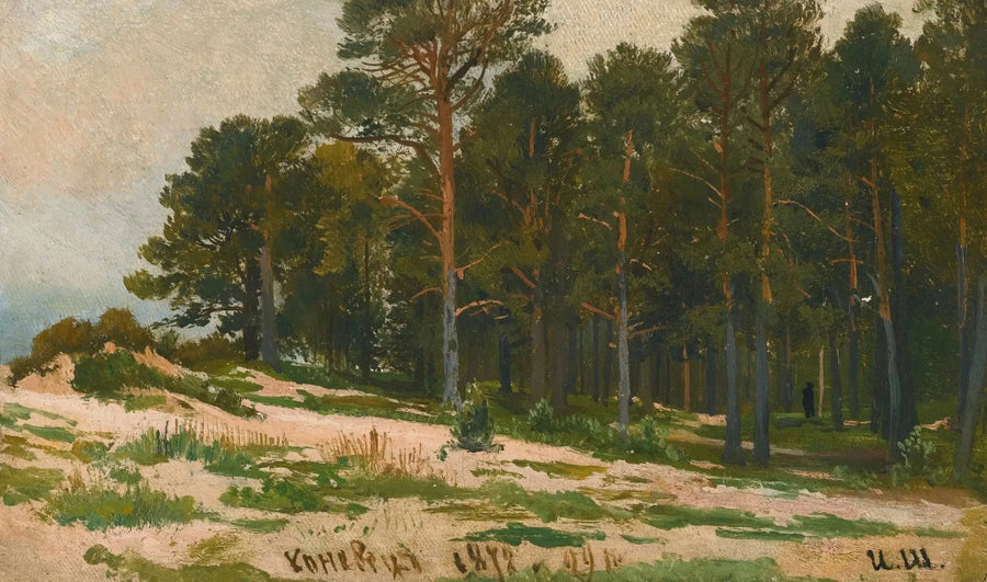 Pine Forest - Ivan Chichkine