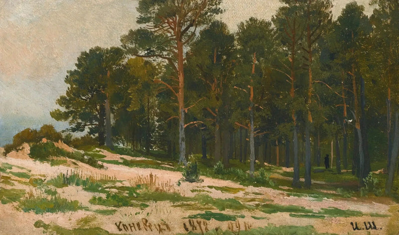 Pine Forest - Ivan Chichkine