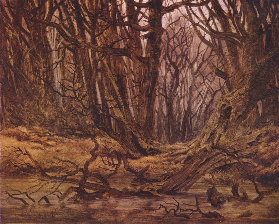 forest in late autumn - Caspar David Friedrich