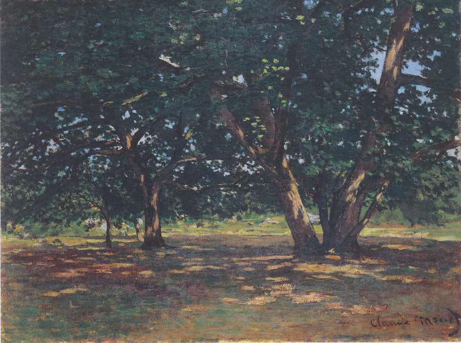 Forest of Fontainebleau - Claude Monet