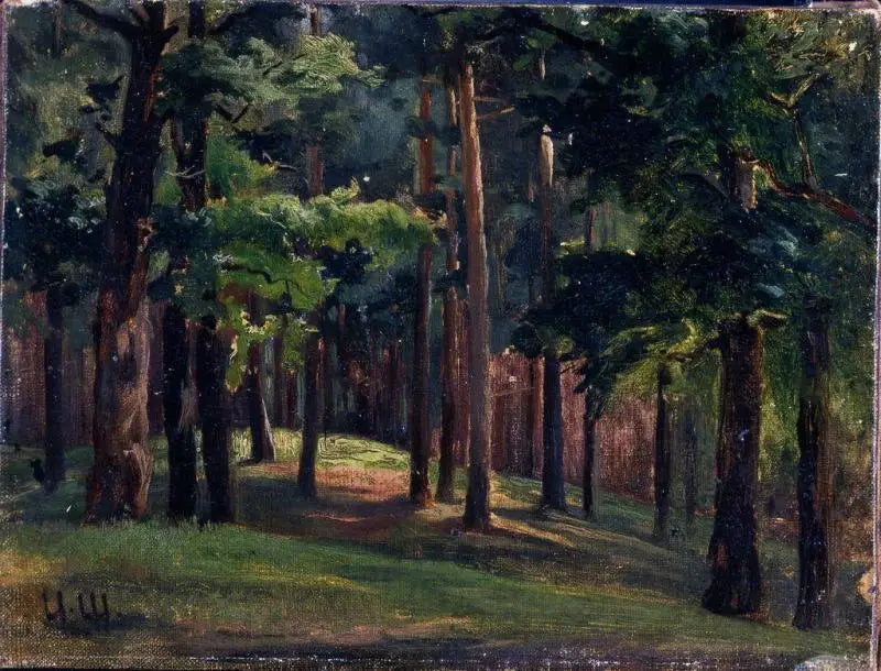 Forest - Ivan Chichkine