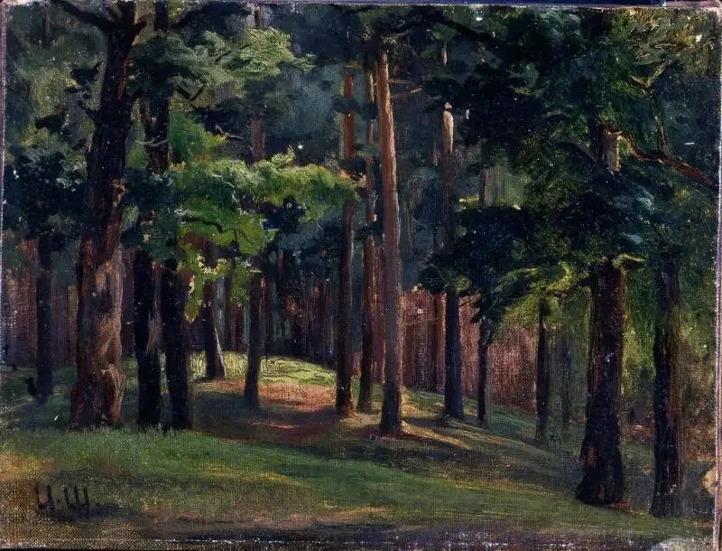 Forest - Ivan Chichkine