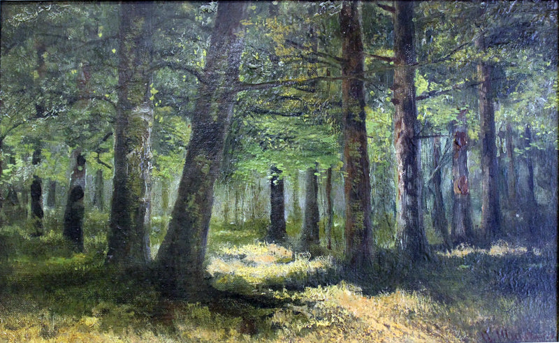 Forest - Ivan Chichkine
