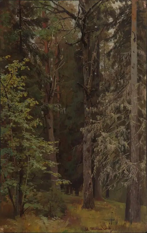 Mixed Forest - Ivan Chichkine