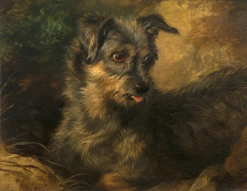 Ginger' - Edwin Henry Landseer