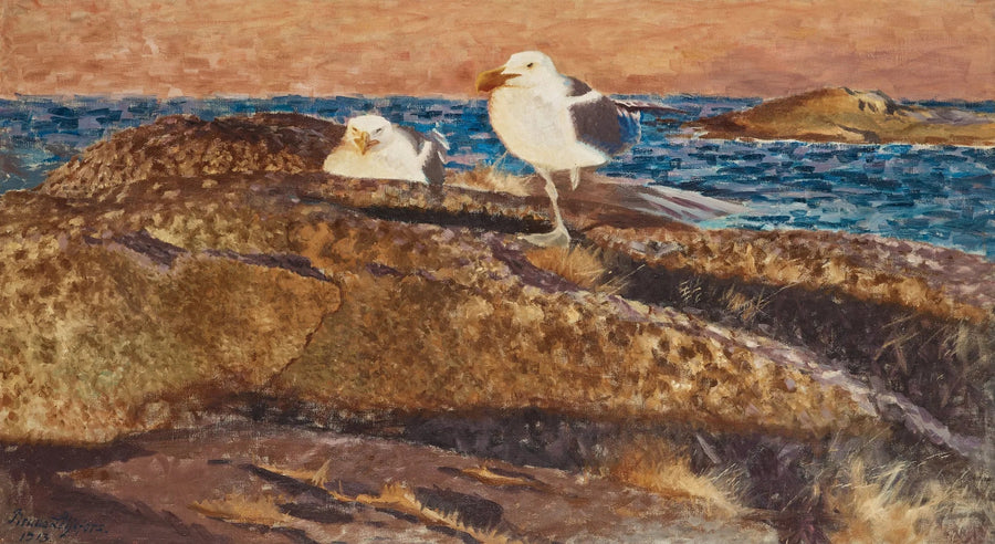 European Herring Gulls - Bruno Liljefors