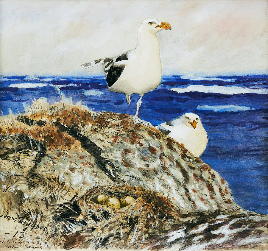 Great Black-backed Gulls - Bruno Liljefors