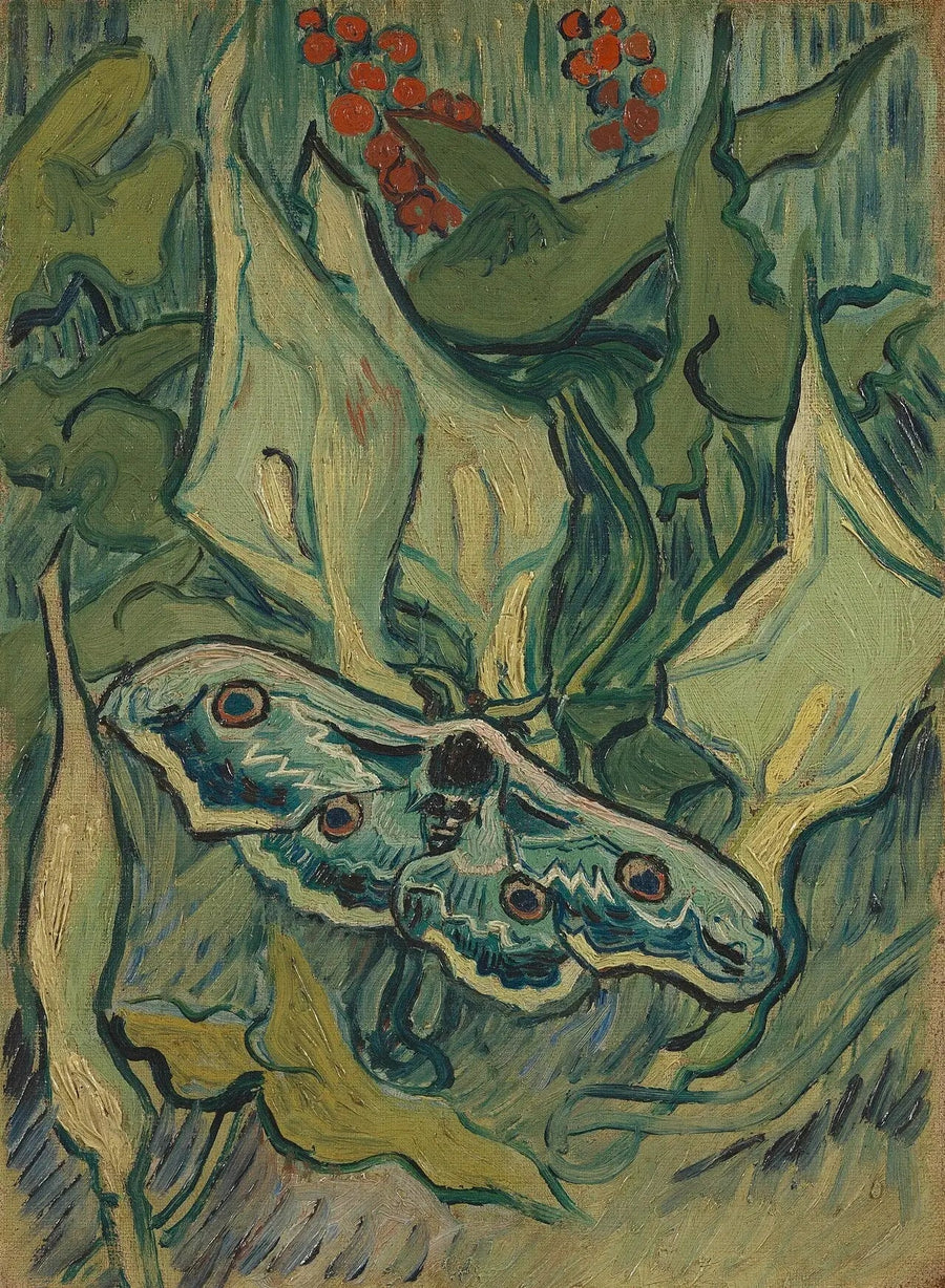 Great Peacock Moth - Vincent van Gogh