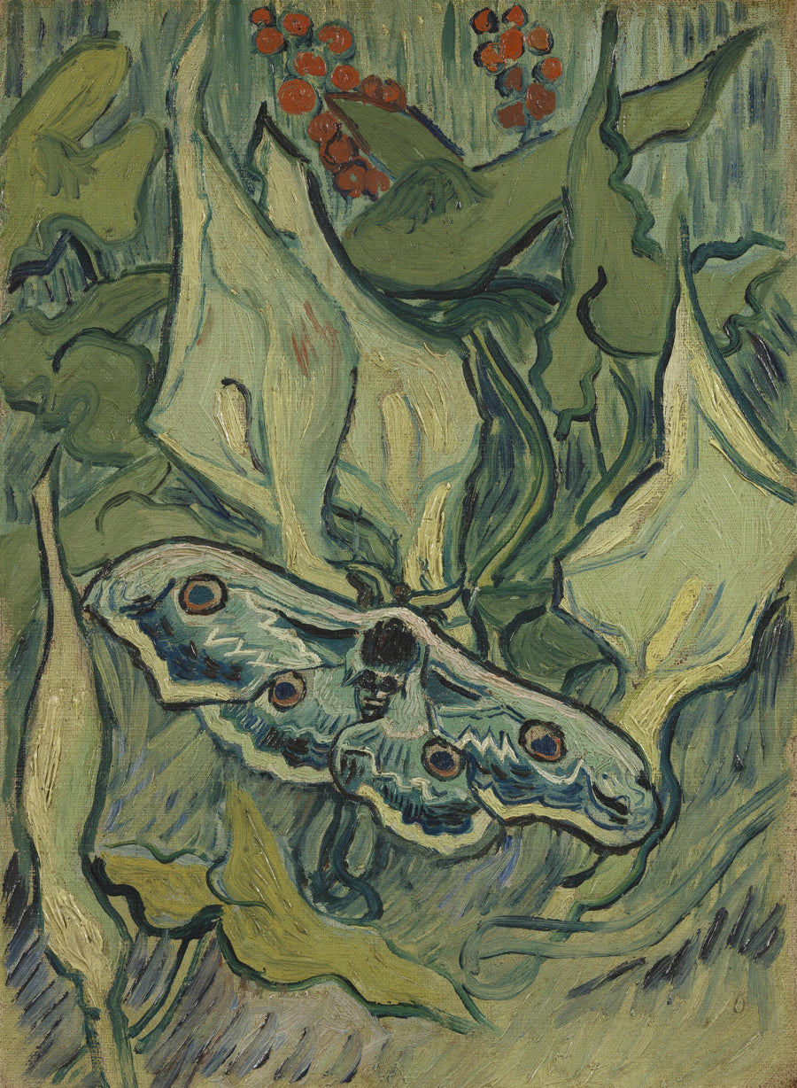 Great Peacock Moth - Vincent van Gogh