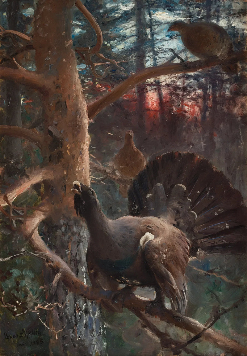 Capercaillies in courtship display - Bruno Liljefors