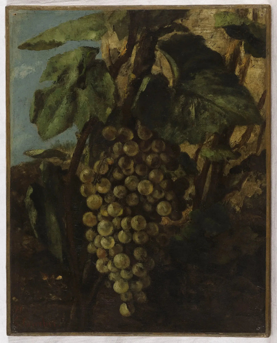Grape Cluster - Gustave Courbet