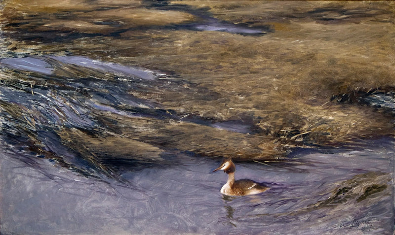 Grebe - Bruno Liljefors