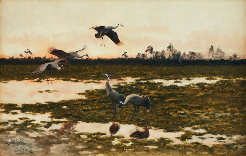 Cranes at dusk - Bruno Liljefors