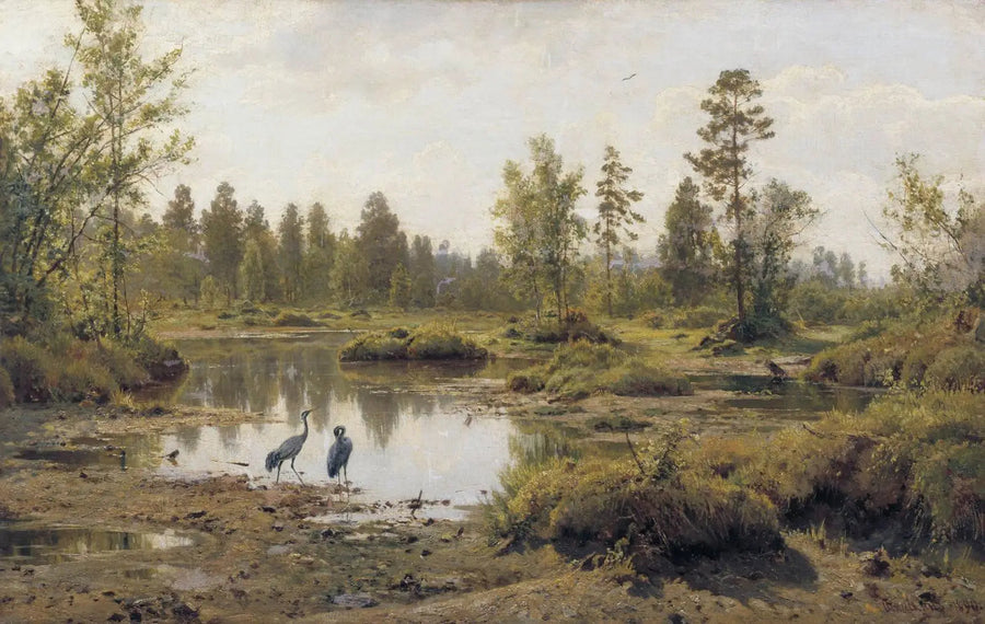 Marsh Cranes - Ivan Chichkine