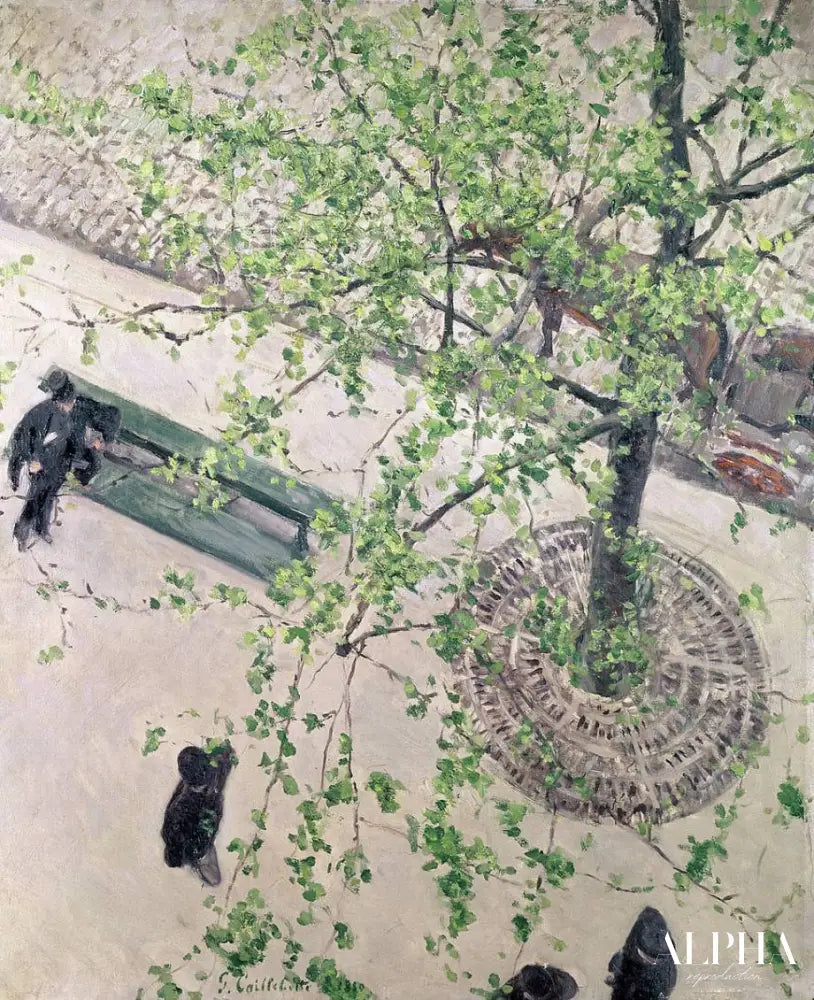 Gustave caillebotte boulevard vu d'en haut - Caillebotte - Reproductions de tableaux et peintures haut de gamme