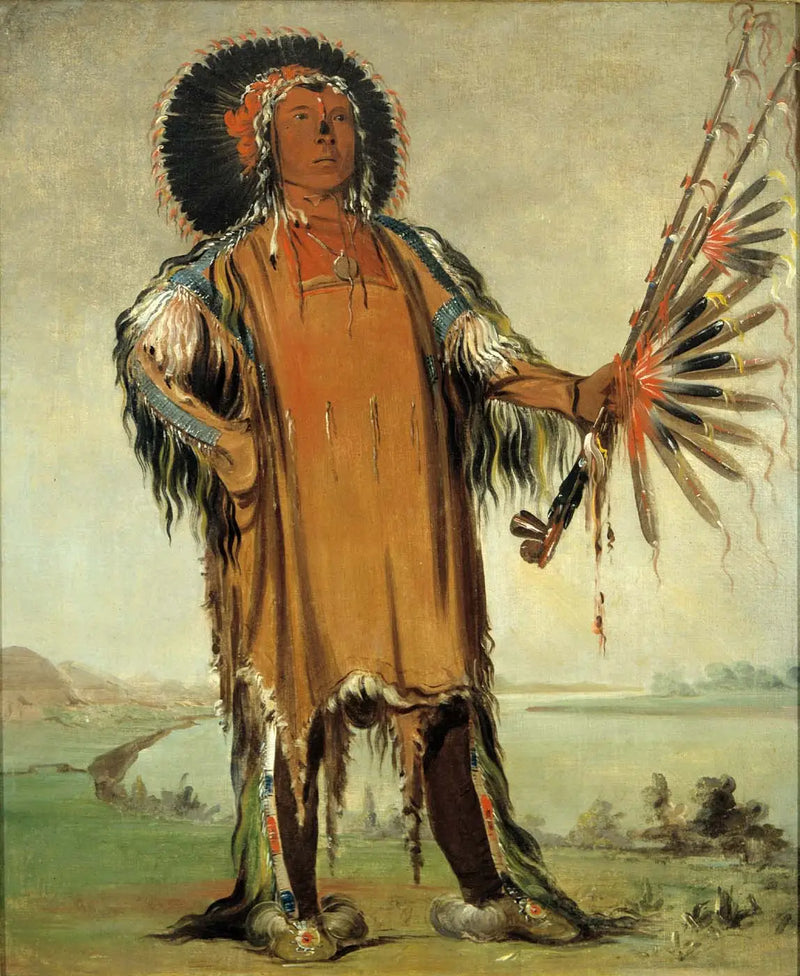 Ha-na-tá-nu-maúk, chief of the wolves, supreme chief of the tribe - George Catlin