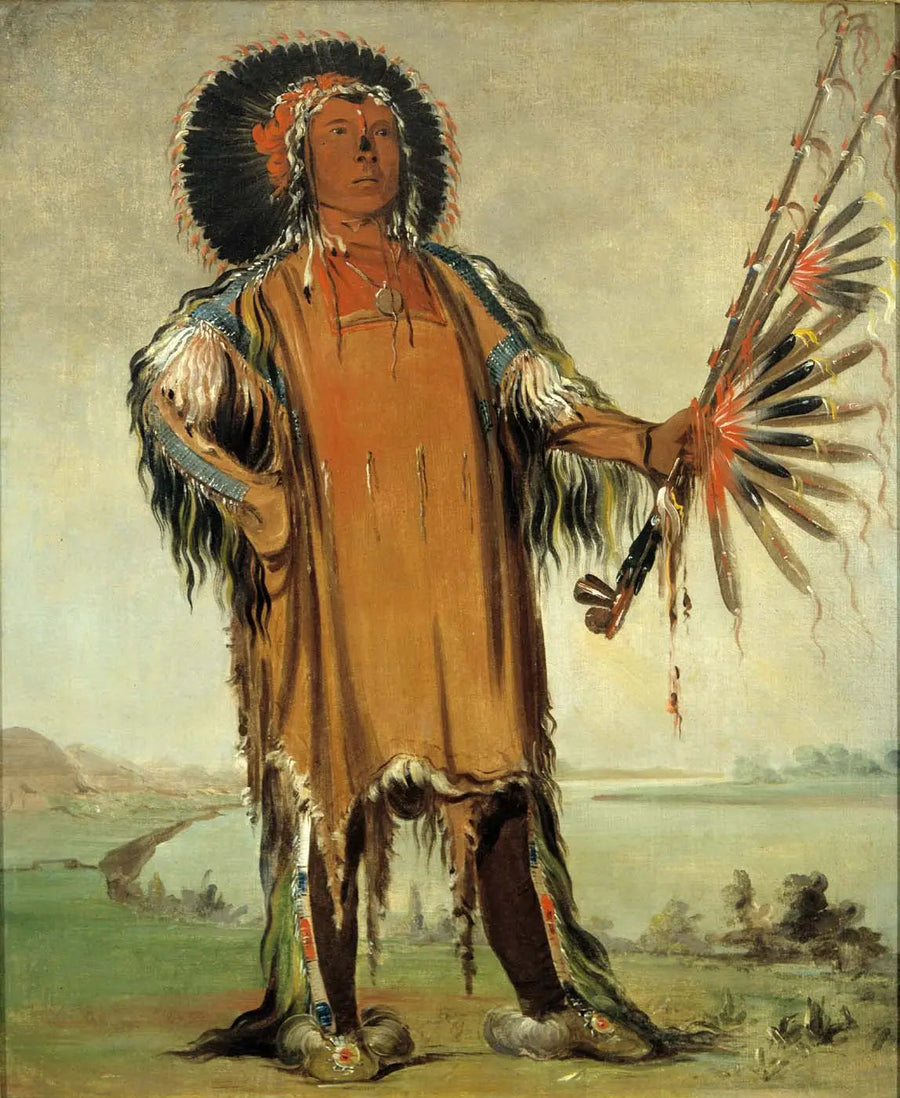 Ha-na-tá-nu-maúk, chief of the wolves, supreme chief of the tribe - George Catlin
