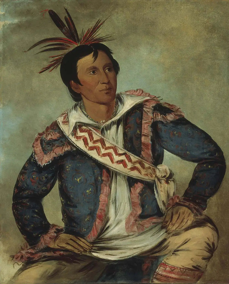 Há-tchoo-túc-knee, serpentine turtle, a métisse - George Catlin