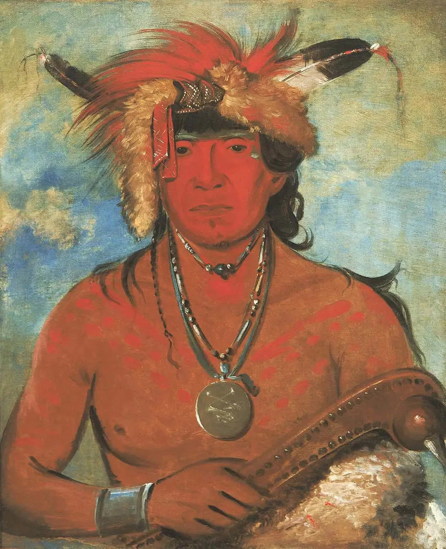 Háh-je-day-ah'-shee, Encounter with Birds, a Brave - George Catlin