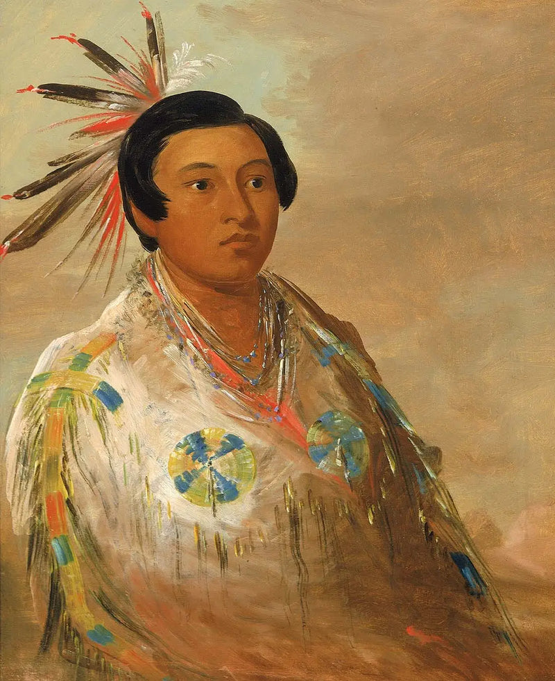 Hee-doh'ge-ats, a Young Man - George Catlin