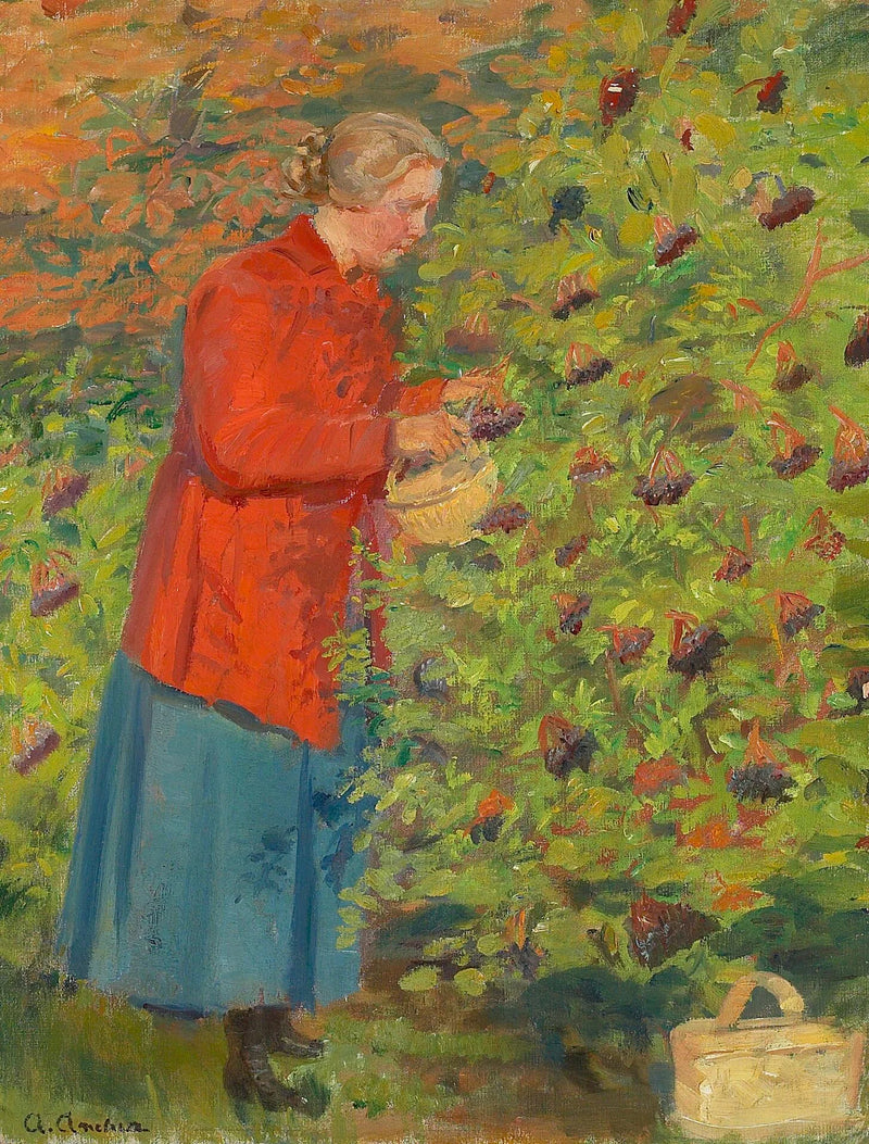Helga Ancher picking elderberries. - Anna Ancher