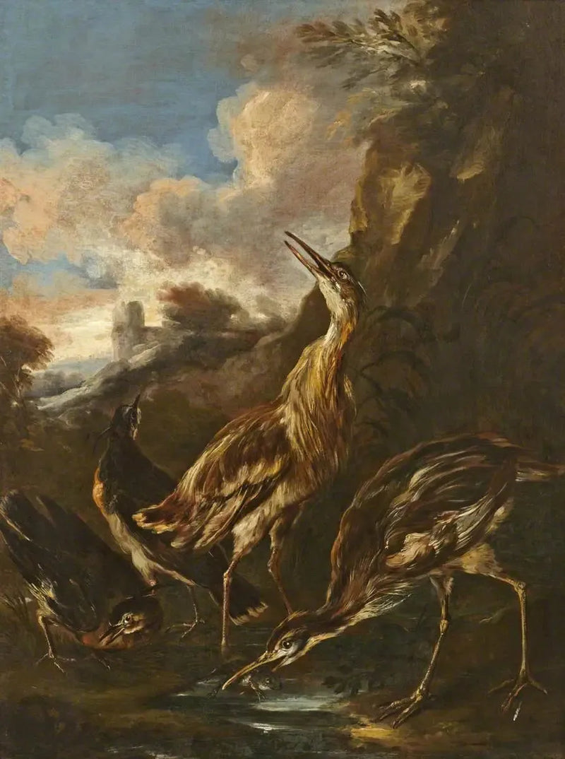 Herons and snipes - Melchior de Hondecoeter