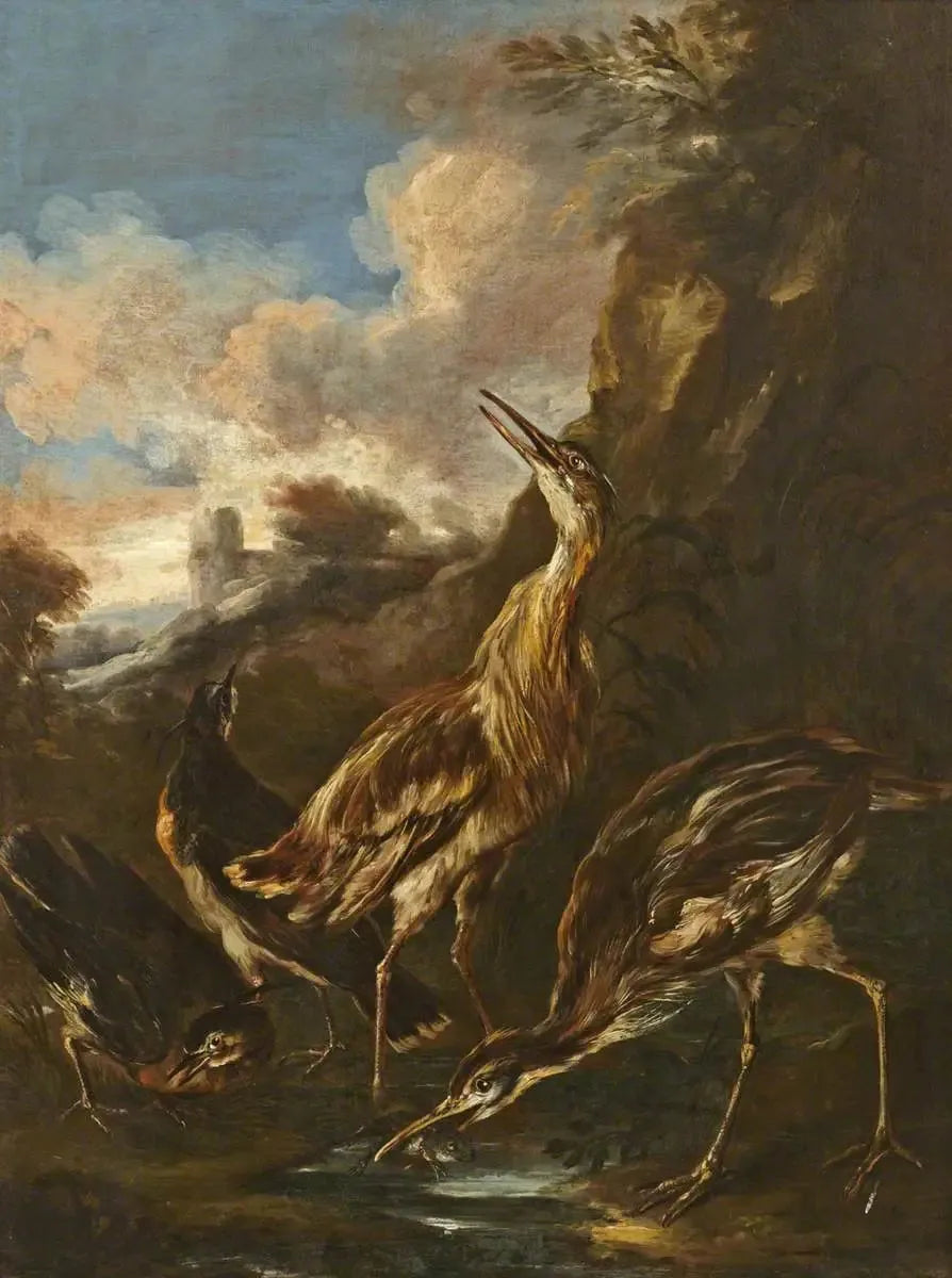 Herons and snipes - Melchior de Hondecoeter