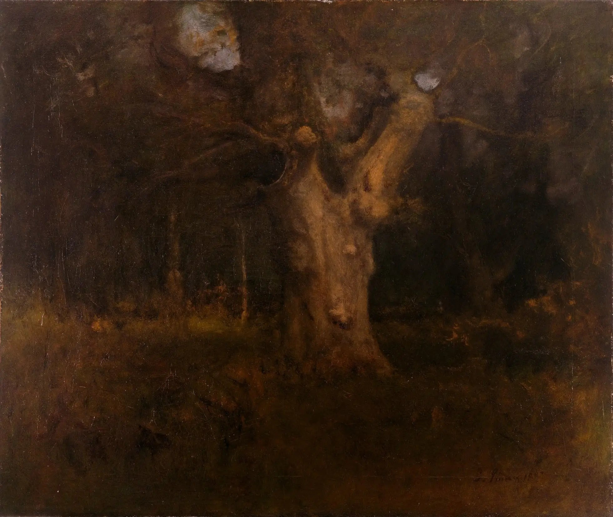 Hêtre royal dans la New Forest Lyndhurst - George Inness - Alpha Reproduction
