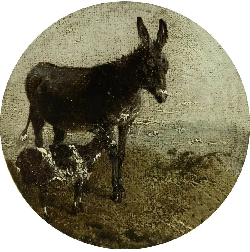 Eight circular farm scenes: donkey and goat - John Frederick Herring, Sr.