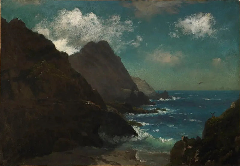 Farallon Islands - Albert Bierstadt