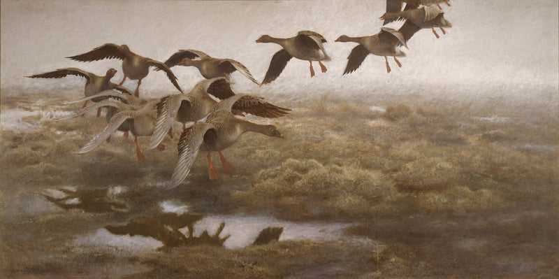 Installation of wild geese - Bruno Liljefors