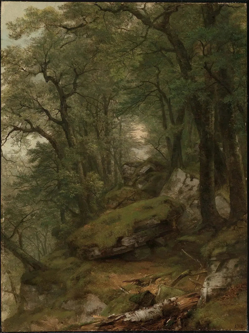 Interior wooded scene - Asher Brown Durand