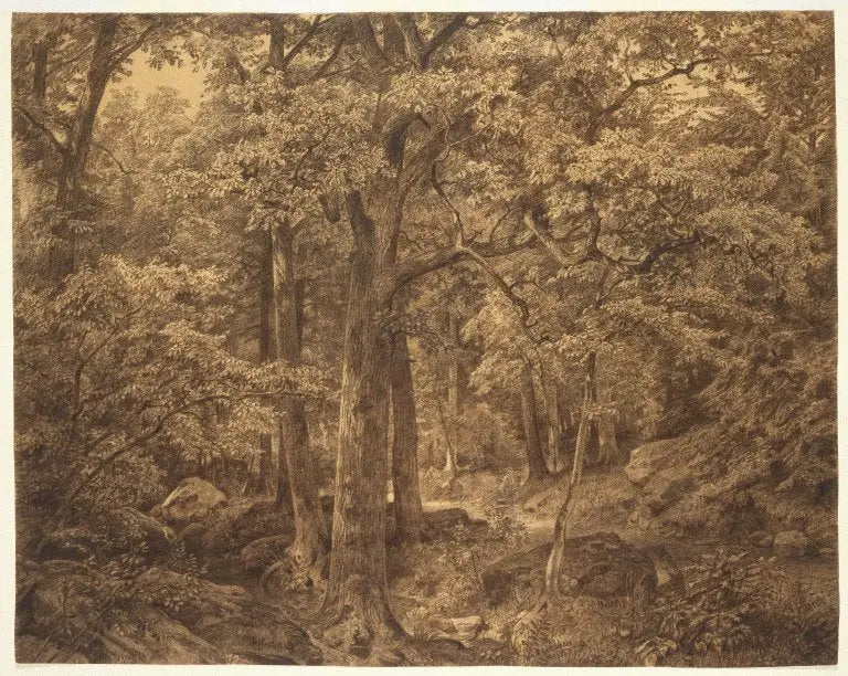 Interior of the Forest - William Trost Richards