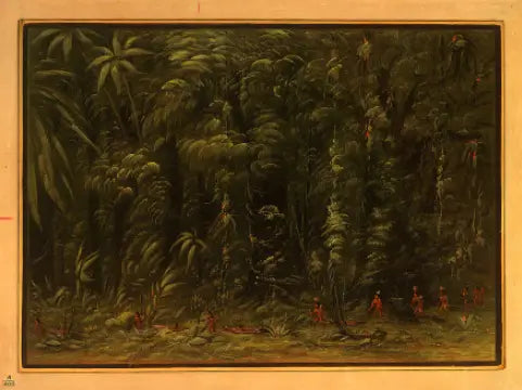 Interior of an Amazon rainforest - Zurumati - George Catlin