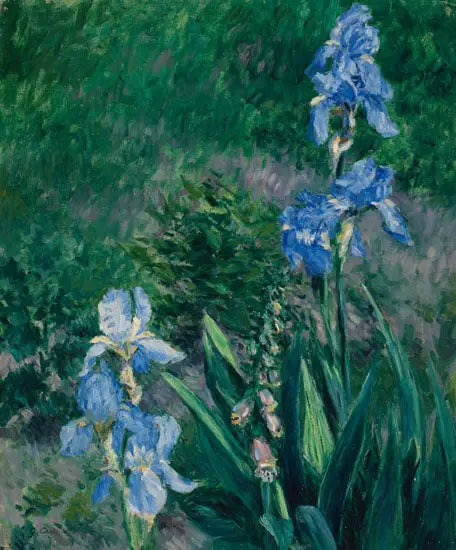 Blue Irises, Garden of Petit Gennevilliers - Gustave Caillebotte