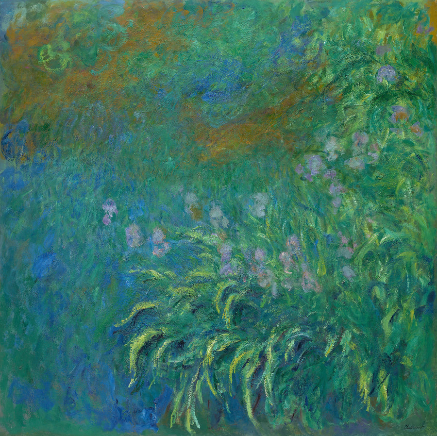 Iris - Claude Monet