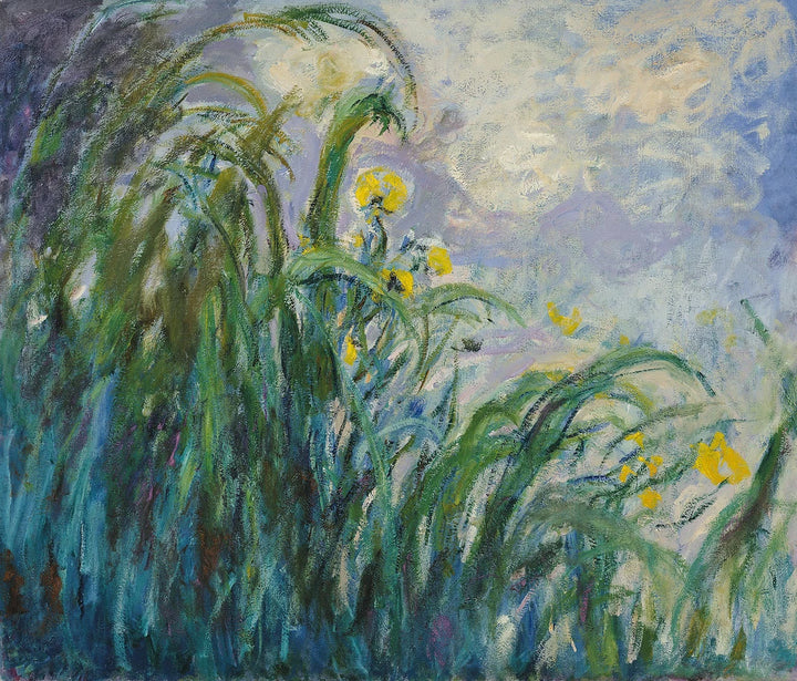 The Yellow Iris - Claude Monet