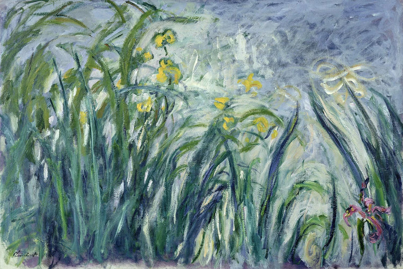 Yellow and Purple Irises - Claude Monet