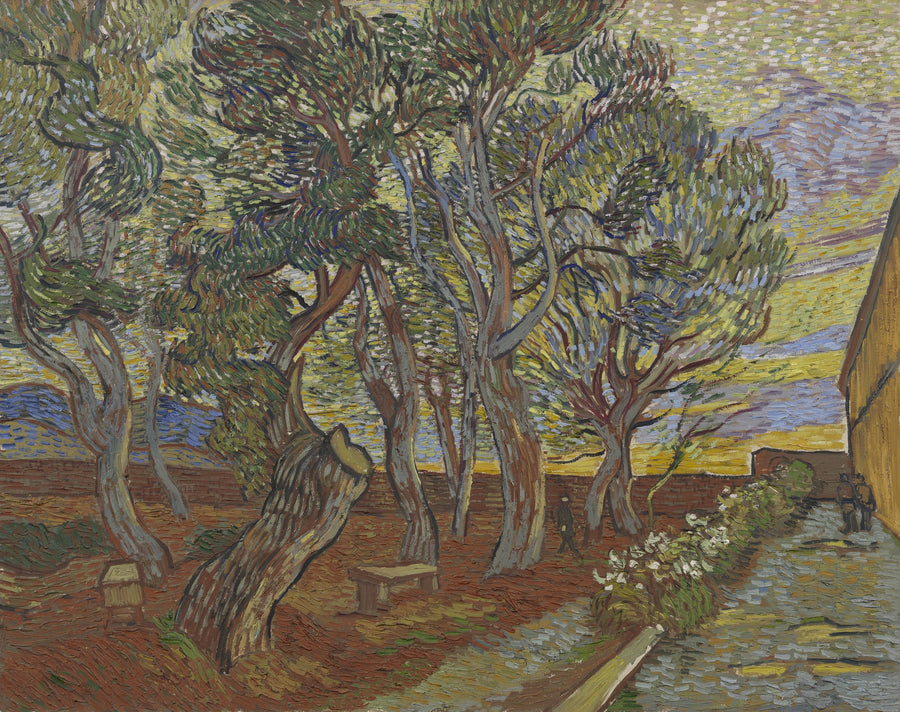 Garden of the Asylum - Vincent van Gogh