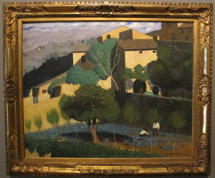 Citrus Garden in Cagnes - Félix Vallotton