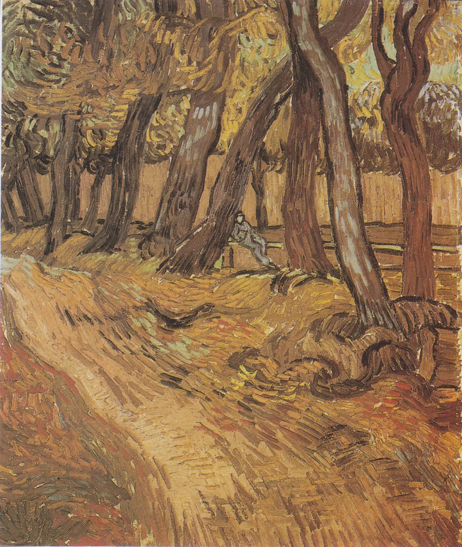 Garden of Saint Paul Hospital with Figure, The - Vincent van Gogh