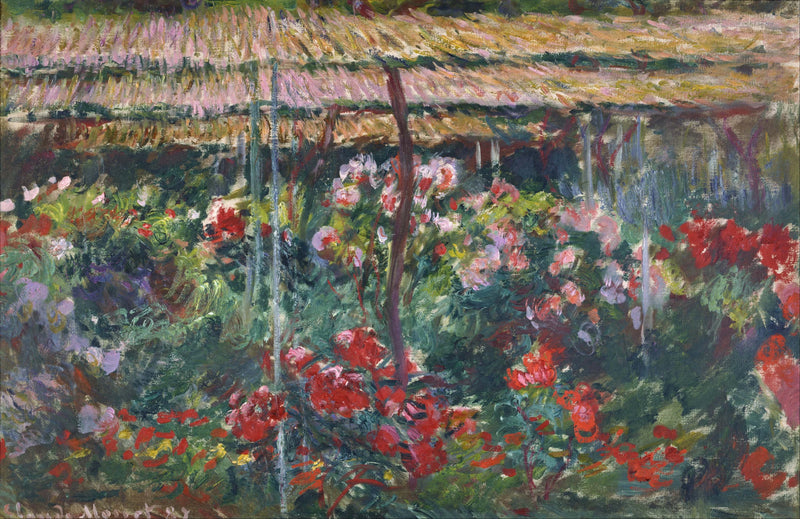 Peony garden W1140 - Claude Monet