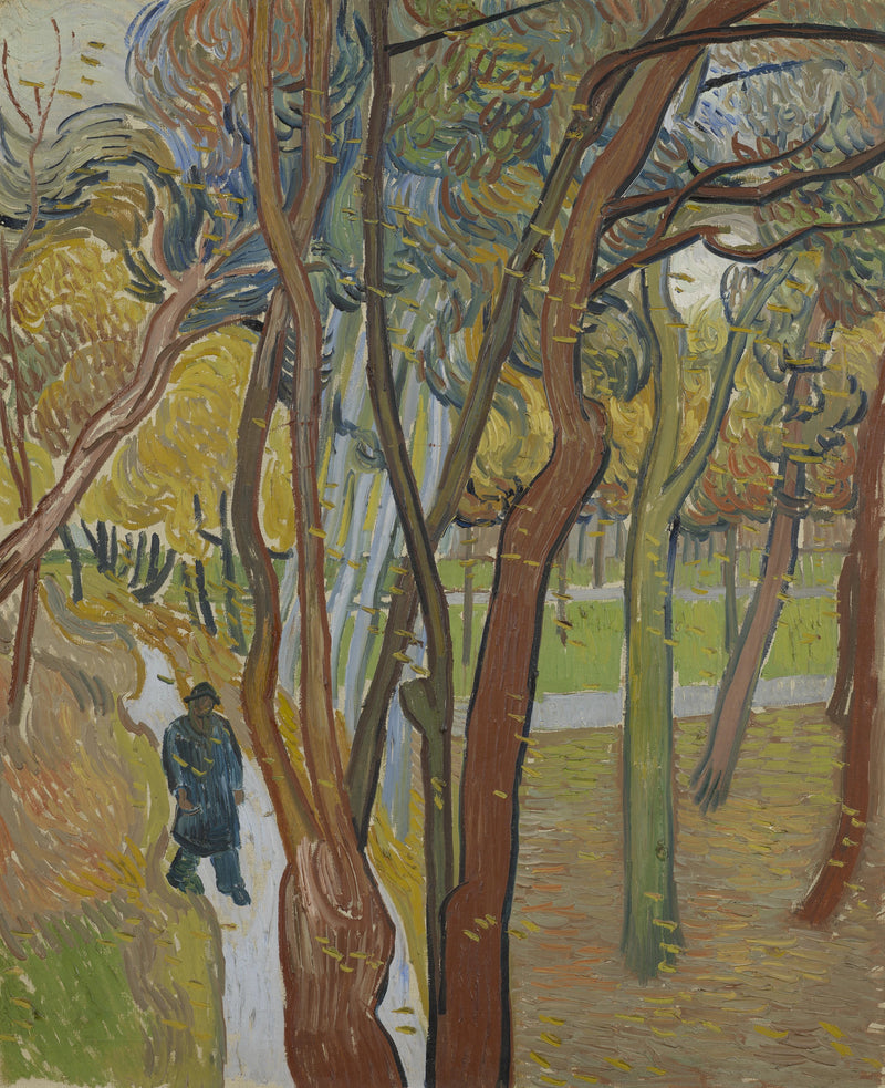 The garden of Saint-Paul Hospital (