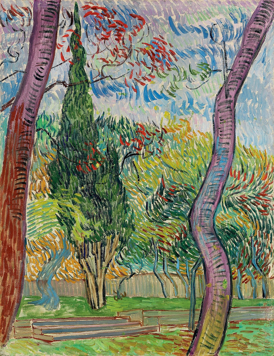 Saint-Paul Hospital Park - Vincent van Gogh