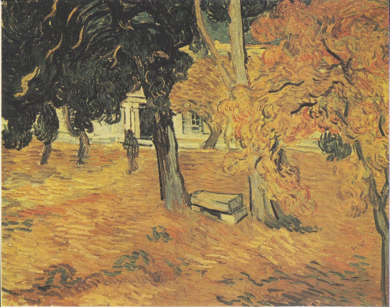Garden of Saint-Paul Hospital, The - Vincent van Gogh
